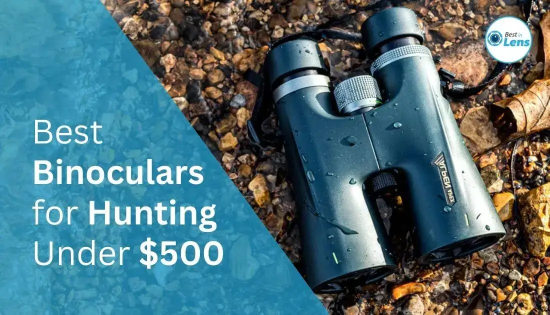 Best Binoculars for Hunting Under $500