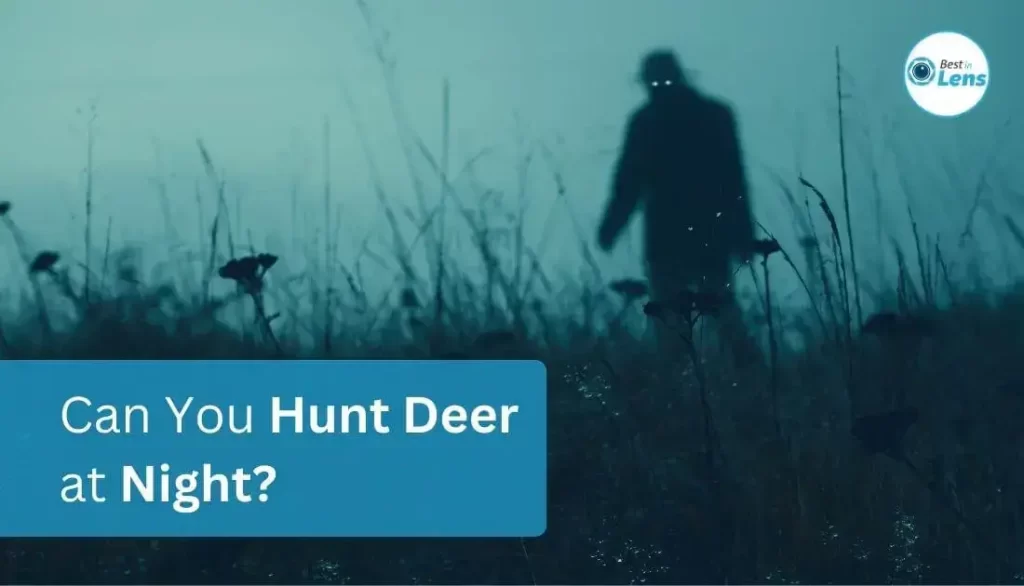 Can You Hunt Deer at Night