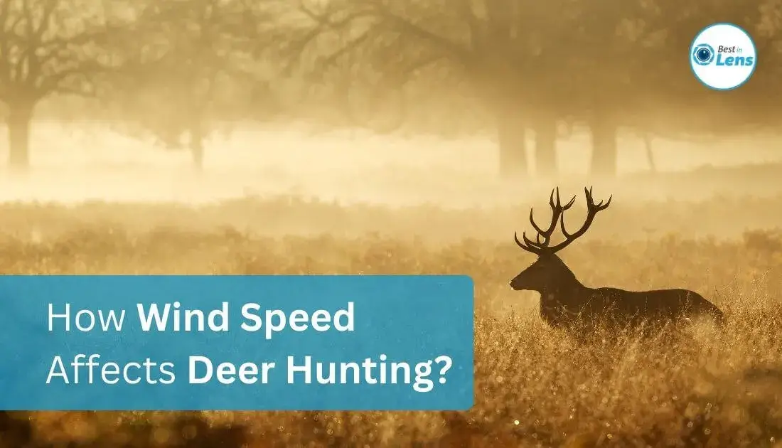 How Wind Speed Affects Deer Hunting