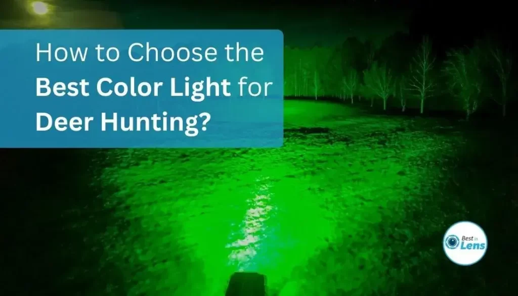 How to Choose the Best Color Light for Deer Hunting