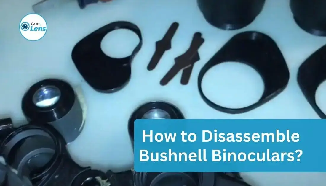 How to Disassemble Bushnell Binoculars