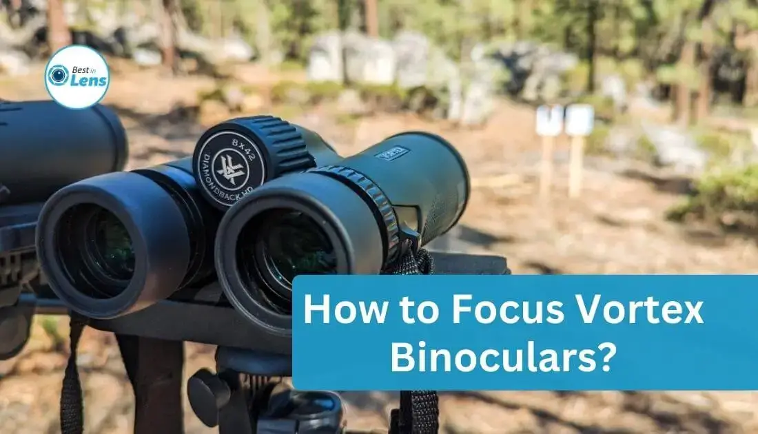 How to Focus Vortex Binoculars