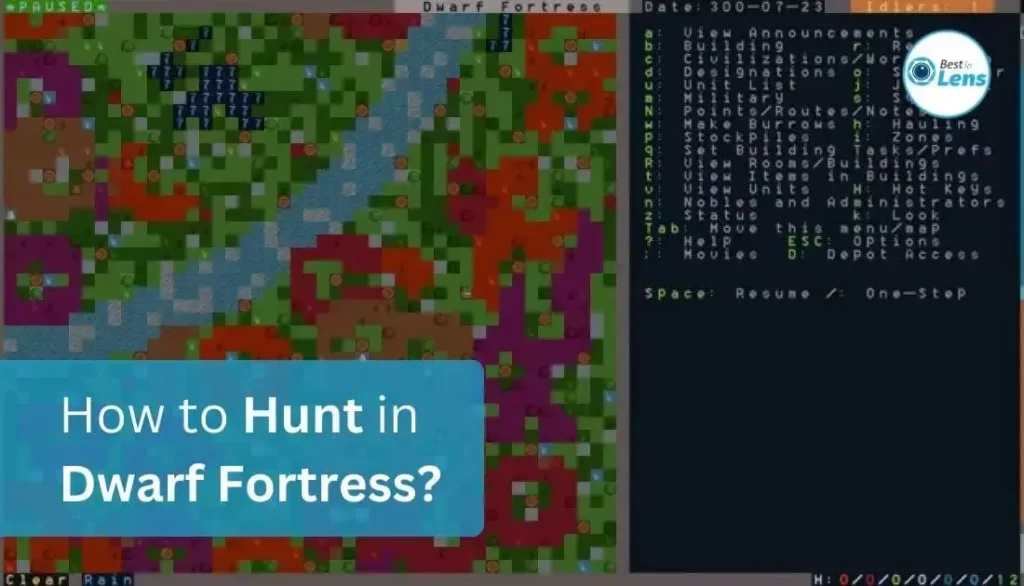 How to Hunt in Dwarf Fortress