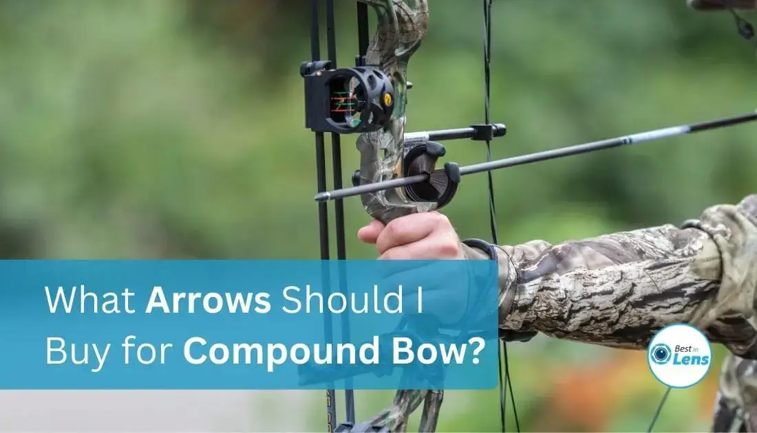 What Arrows Should I Buy for Compound Bow