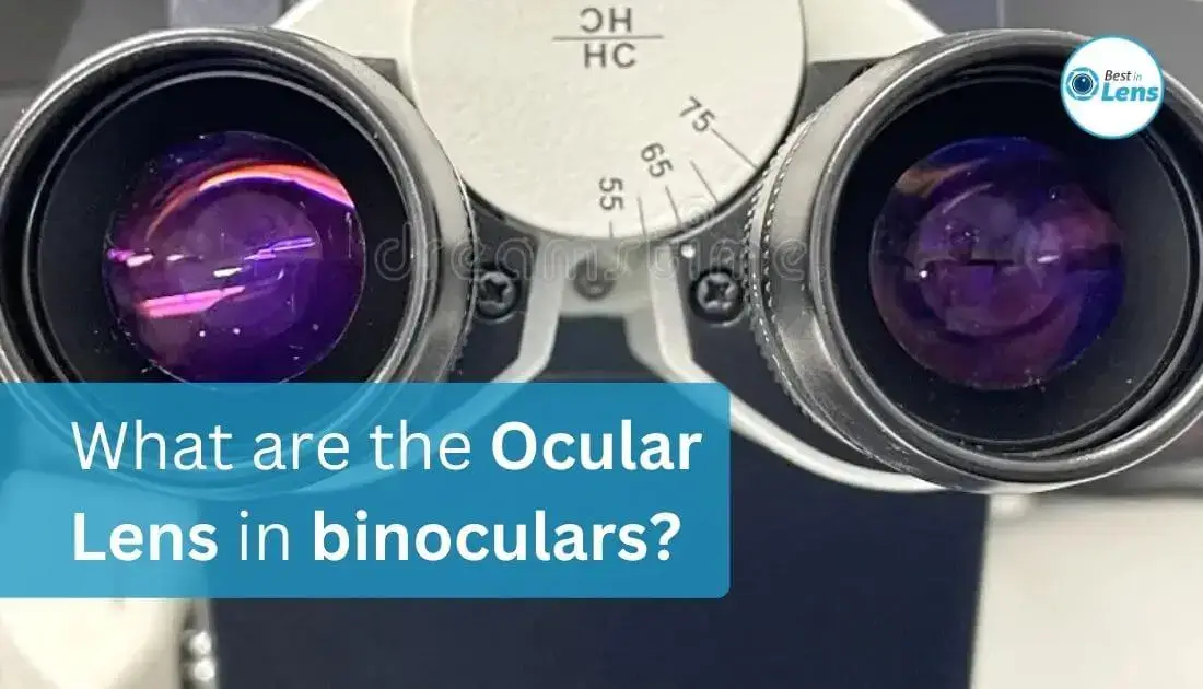 What are the Ocular Lens in binoculars