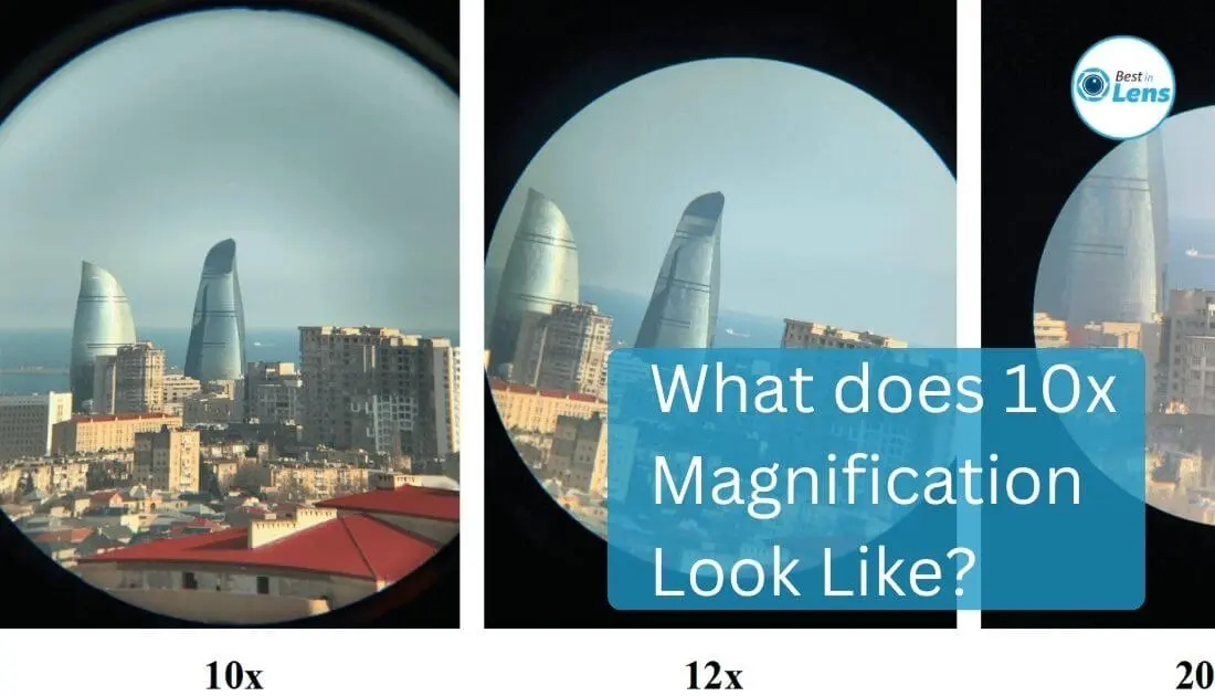 What does 10x Magnification Look Like