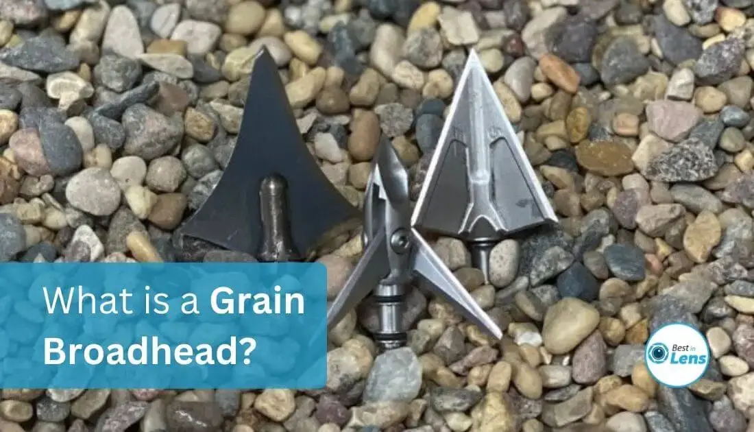What is a Grain Broadhead