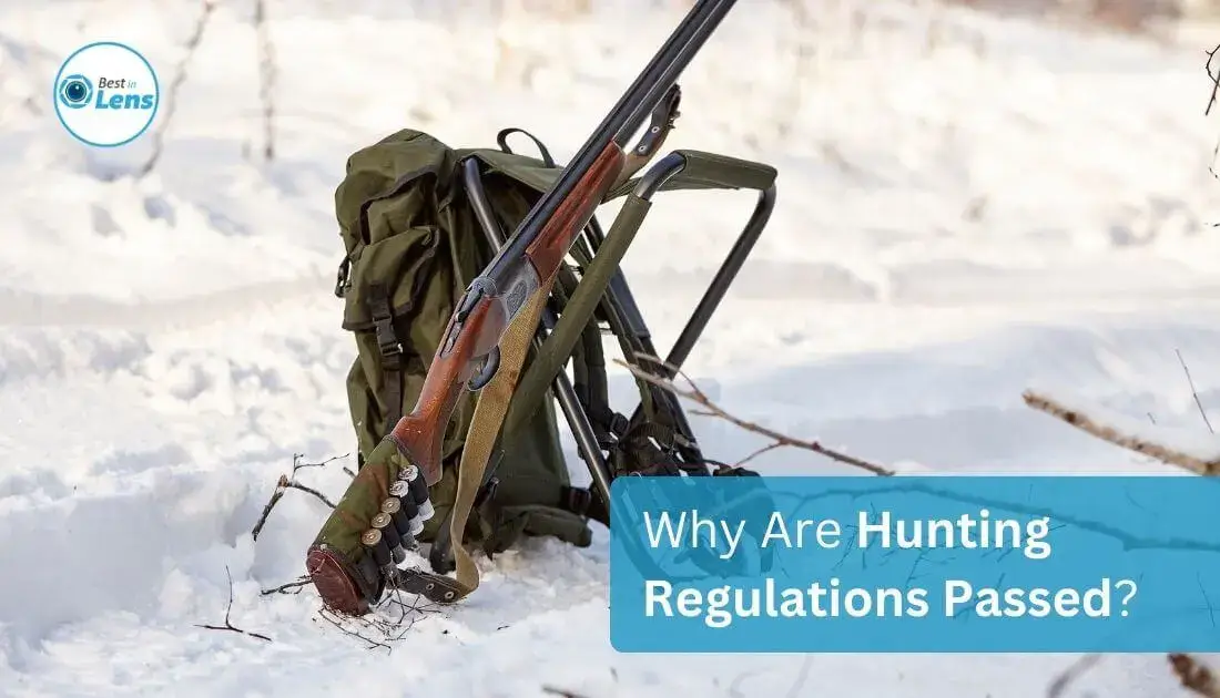 Why Are Hunting Regulations Passed